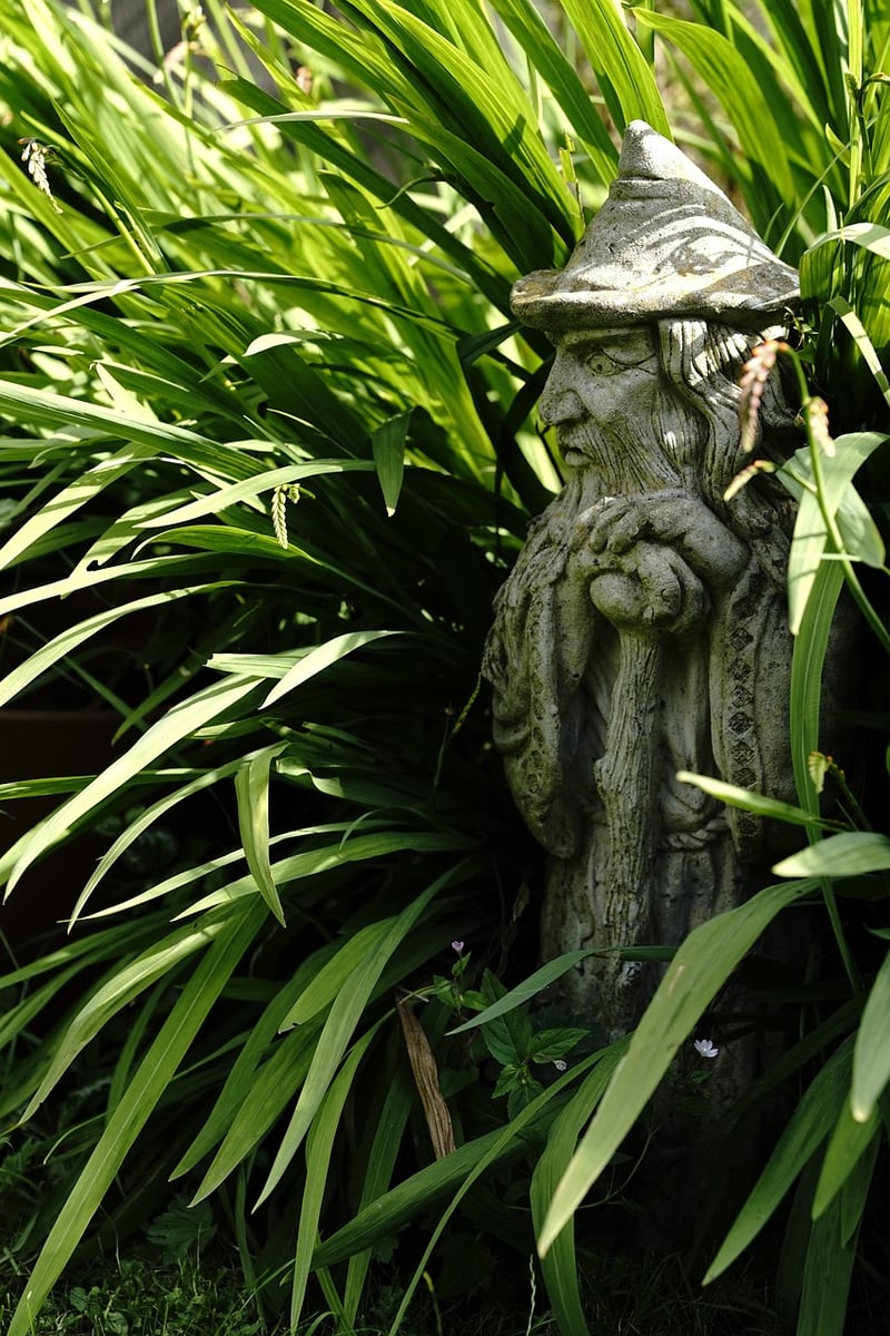 Witchcraft Gardens