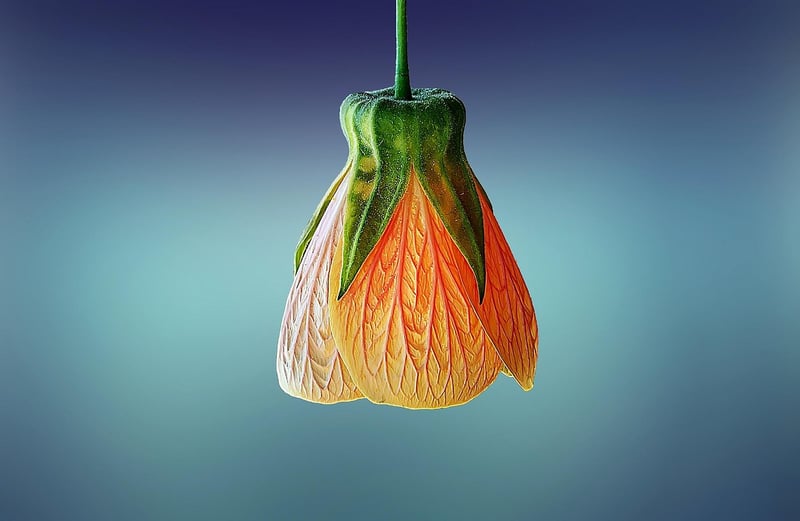 Hanging Basket