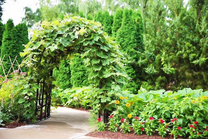 Pergola Garden Structure